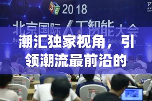 潮汇独家视角,引领潮流最前沿的独特观察