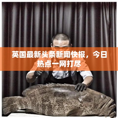 英国最新头条新闻快报,今日热点一网打尽