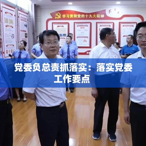 党委负总责抓落实:落实党委工作要点