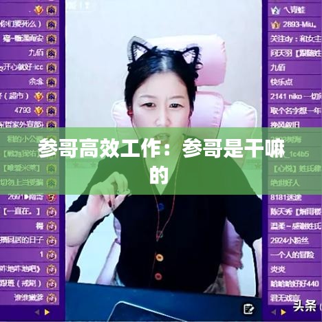 参哥高效工作:参哥是干嘛的