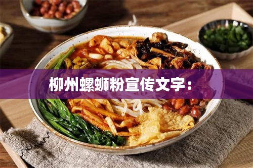 柳州螺蛳粉宣传文字: