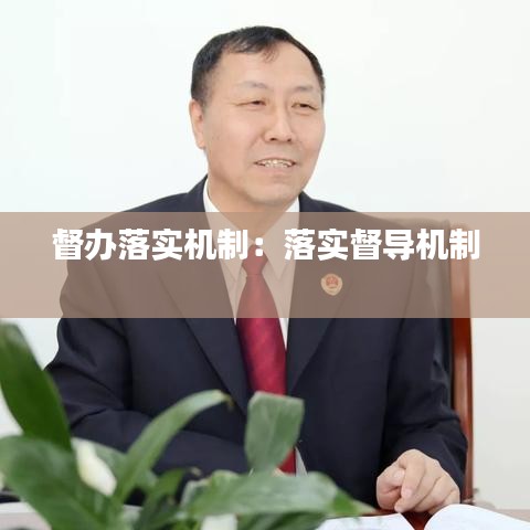 督办落实机制:落实督导机制