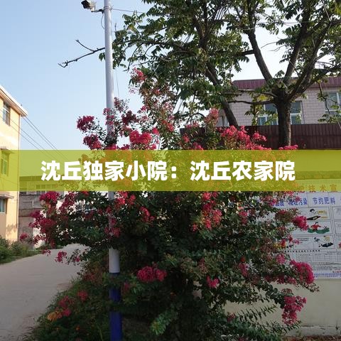 沈丘独家小院:沈丘农家院