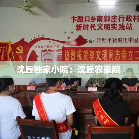 沈丘独家小院:沈丘农家院
