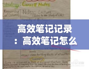 高效笔记记录:高效笔记怎么做