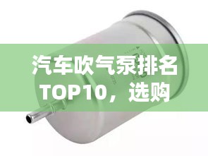 汽车吹气泵排名TOP10,选购必备指南