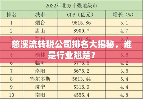 慈溪流转税公司排名大揭秘,谁是行业翘楚?