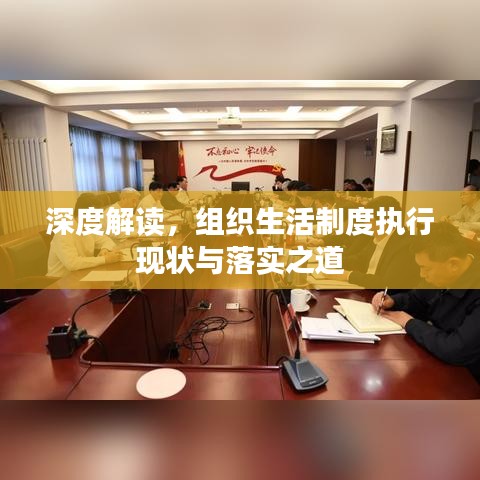 深度解读,组织生活制度执行现状与落实之道