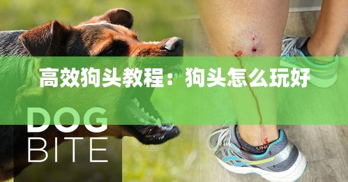 高效狗头教程:狗头怎么玩好