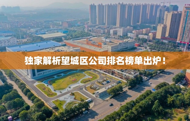 独家解析望城区公司排名榜单出炉!