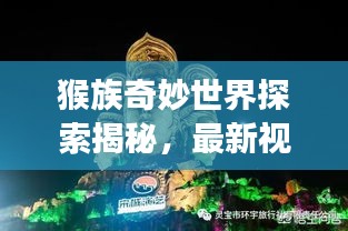 猴族奇妙世界探索揭秘,最新视频展现猴趣无限