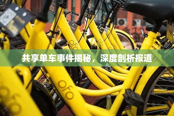 共享单车事件揭秘,深度剖析报道