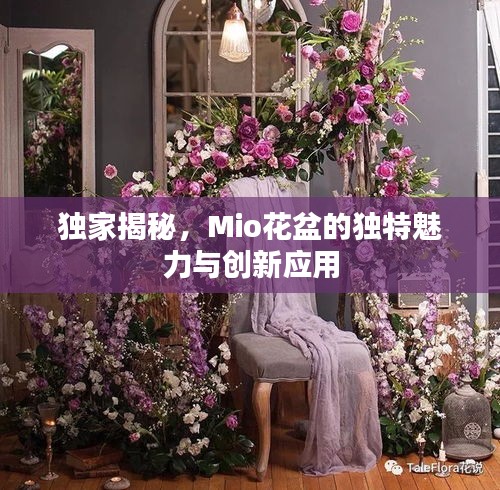 独家揭秘,Mio花盆的独特魅力与创新应用