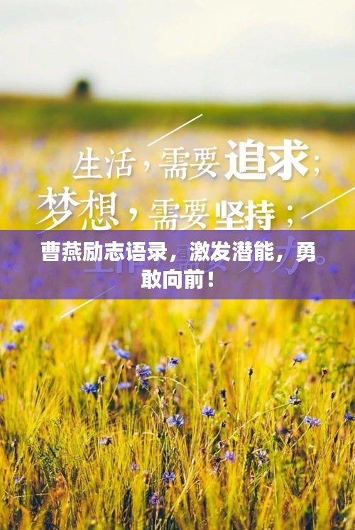 曹燕励志语录,激发潜能,勇敢向前!