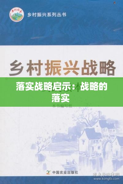 落实战略启示:战略的落实