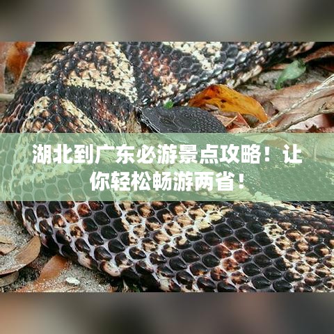 湖北到广东必游景点攻略!让你轻松畅游两省!
