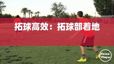 拓球高效:拓球部着地