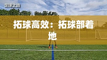 拓球高效:拓球部着地