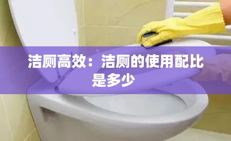 洁厕高效:洁厕的使用配比是多少