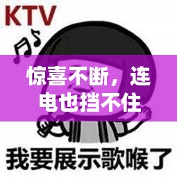 惊喜不断,连电也挡不住!