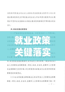 就业政策关键落实:落实就业政策说明报告