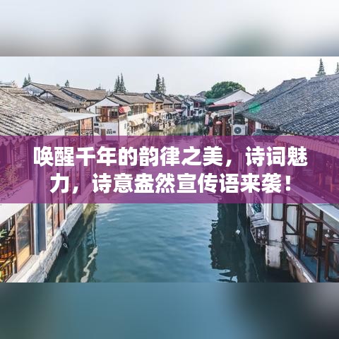 唤醒千年的韵律之美,诗词魅力,诗意盎然宣传语来袭!