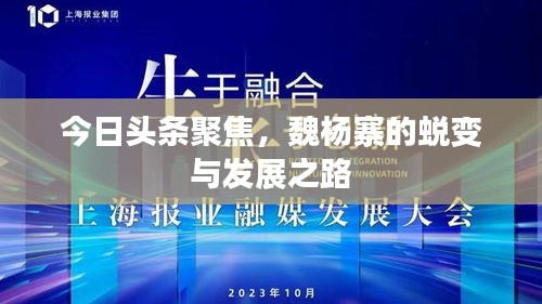 今日头条聚焦,魏杨寨的蜕变与发展之路