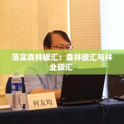 落实森林碳汇:森林碳汇与林业碳汇