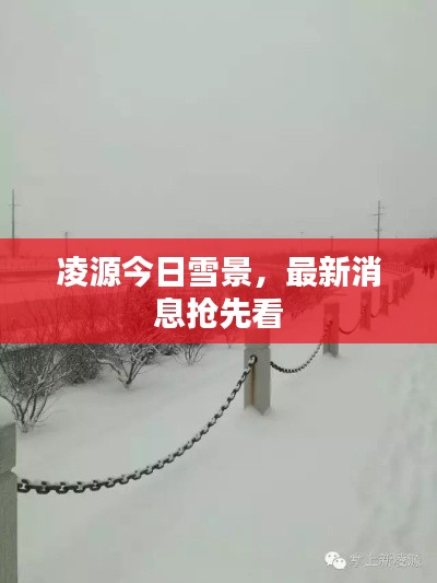 凌源今日雪景,最新消息抢先看