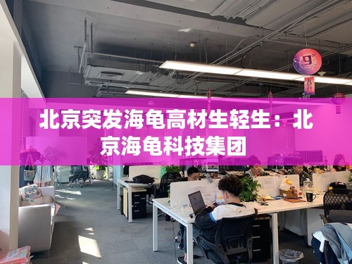 北京突发海龟高材生轻生:北京海龟科技集团