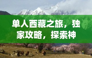 单人西藏之旅,独家攻略,探索神秘高原之旅!