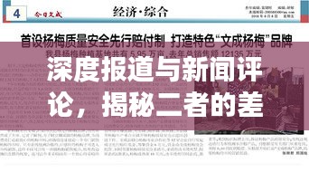 深度报道与新闻评论,揭秘二者的差异与联系,权威解读!