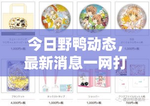 今日野鸭动态,最新消息一网打尽