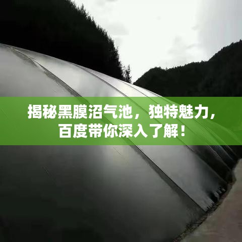 揭秘黑膜沼气池,独特魅力,百度带你深入了解!
