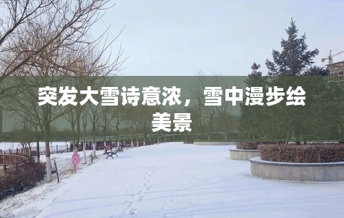 突发大雪诗意浓,雪中漫步绘美景