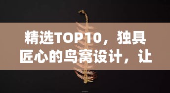 精选TOP10,独具匠心的鸟窝设计,让你大开眼界!