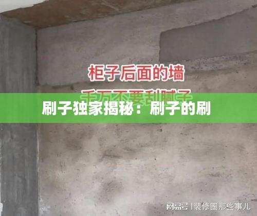 刷子独家揭秘:刷子的刷