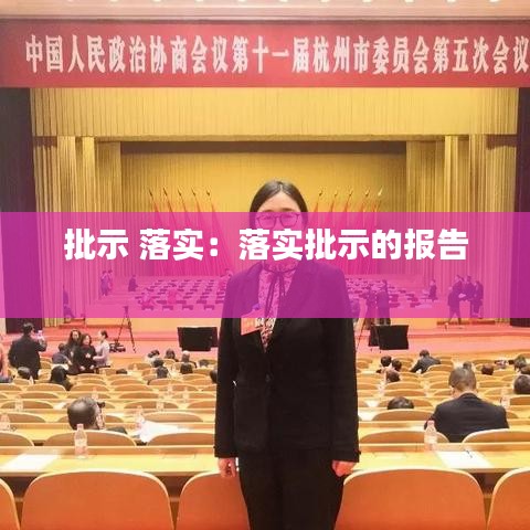 批示 落实:落实批示的报告