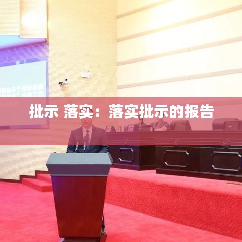 批示 落实:落实批示的报告