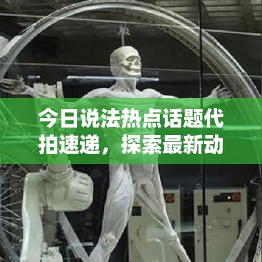 今日说法热点话题代拍速递,探索最新动态