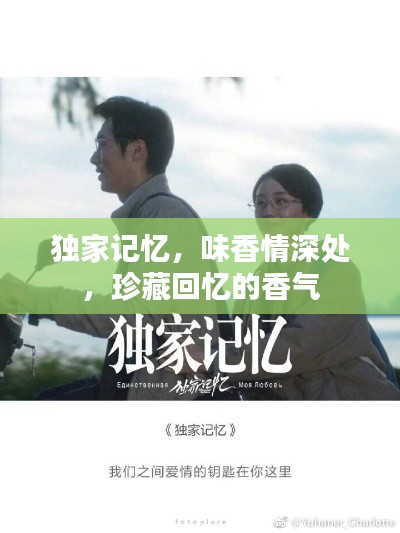 独家记忆,味香情深处,珍藏回忆的香气