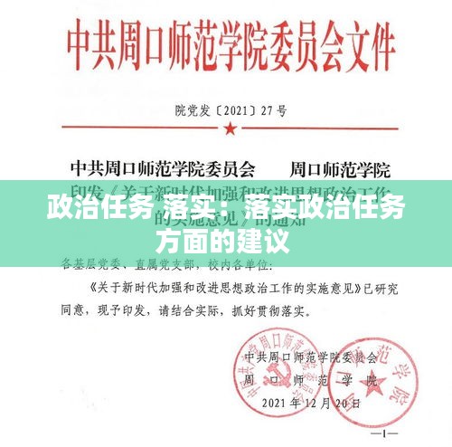 政治任务 落实:落实政治任务方面的建议