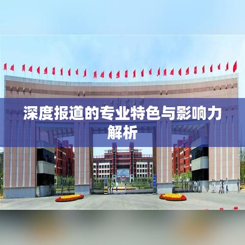 深度报道的专业特色与影响力解析