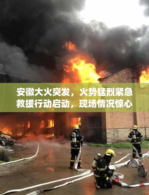 安徽大火突发,火势猛烈紧急救援行动启动,现场情况惊心动魄