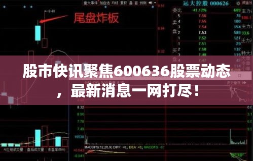 股市快讯聚焦600636股票动态,最新消息一网打尽!
