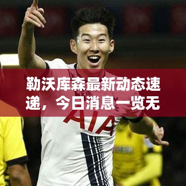 勒沃库森最新动态速递,今日消息一览无余!
