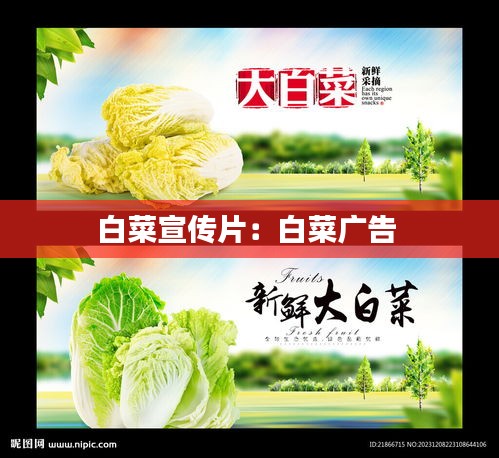 白菜宣传片:白菜广告