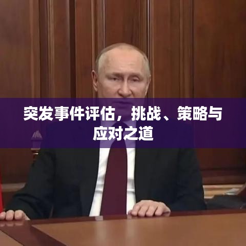 突发事件评估,挑战、策略与应对之道