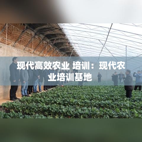 现代高效农业 培训:现代农业培训基地