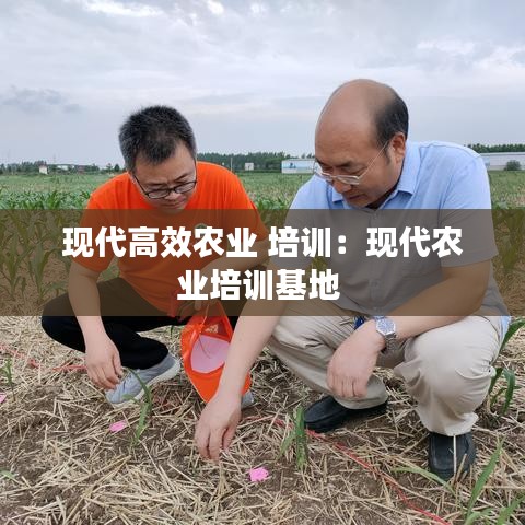 现代高效农业 培训:现代农业培训基地